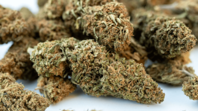What Is Organic Cbd