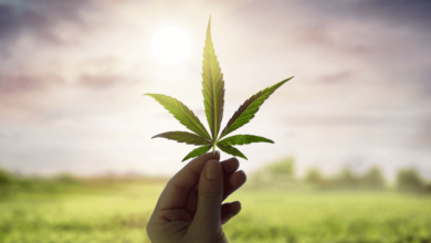 How Long Do Cbd Gummies Stay in Your System Reddit
