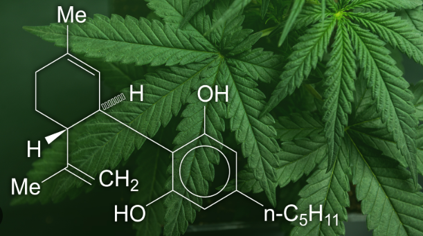 Medical Conditions Approved for Medical Marijuana and Effective Product Options