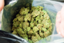 THCA for Maximum Potency