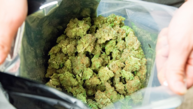 THCA for Maximum Potency