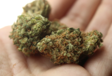 THCA Flower
