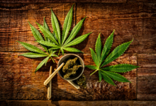 Create Impactful Campaigns with a Cannabis Marketing Agency