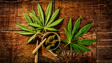 Create Impactful Campaigns with a Cannabis Marketing Agency