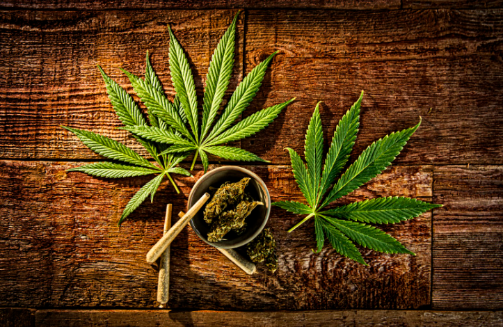 Create Impactful Campaigns with a Cannabis Marketing Agency