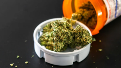 How Medical Cannabis Helps Manage Chronic Pain